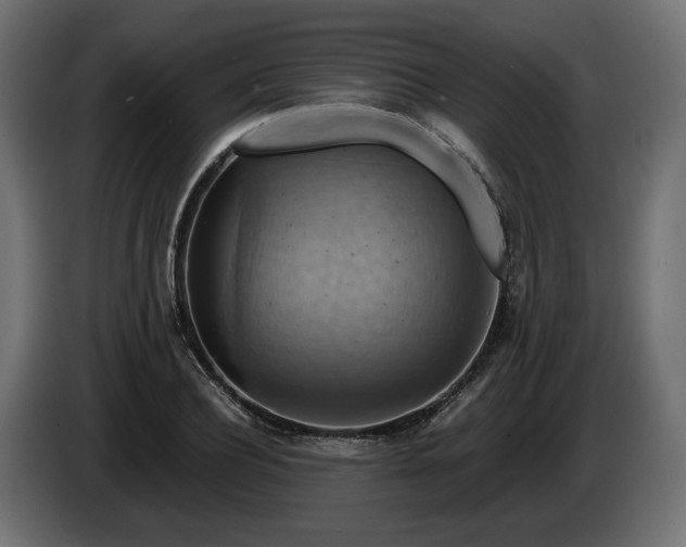 X0000084530932200703021417