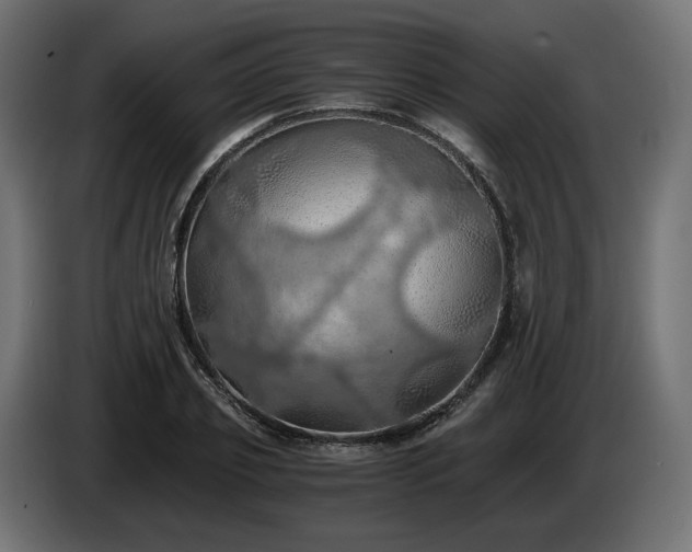 X0000084530933200703021417