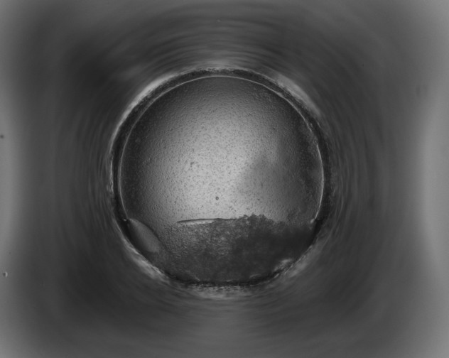X0000084530934200703021417