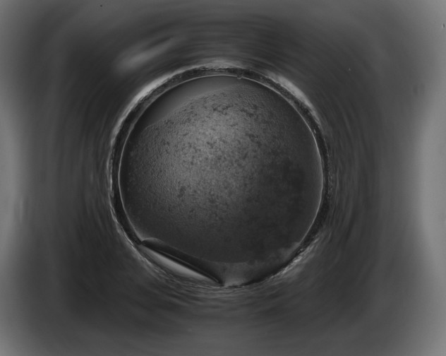 X0000084530935200703021417