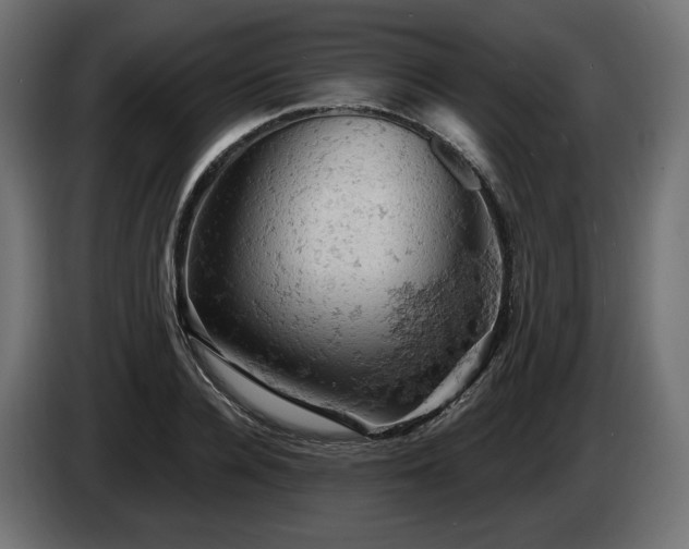 X0000084530936200703021417