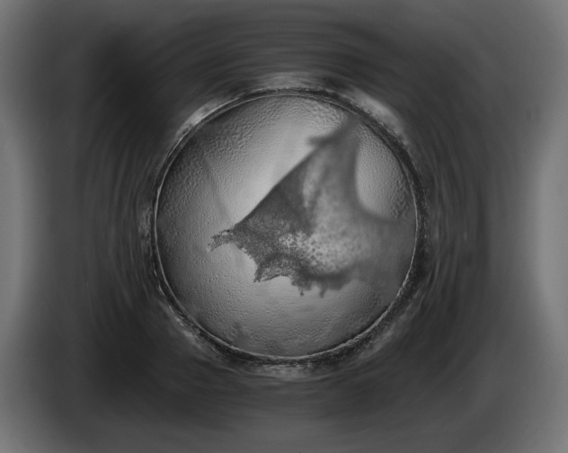 X0000084530937200703021417