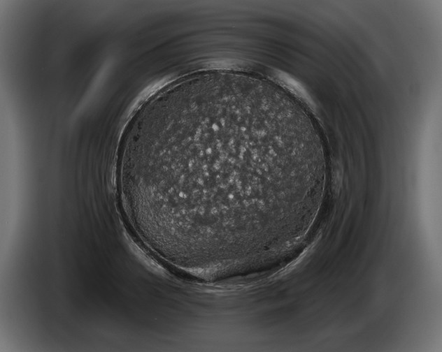 X0000084530938200703021417
