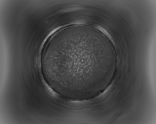 X0000084530939200703021417