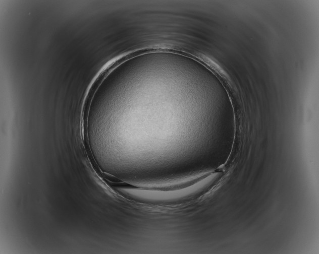 X0000084530940200703021417