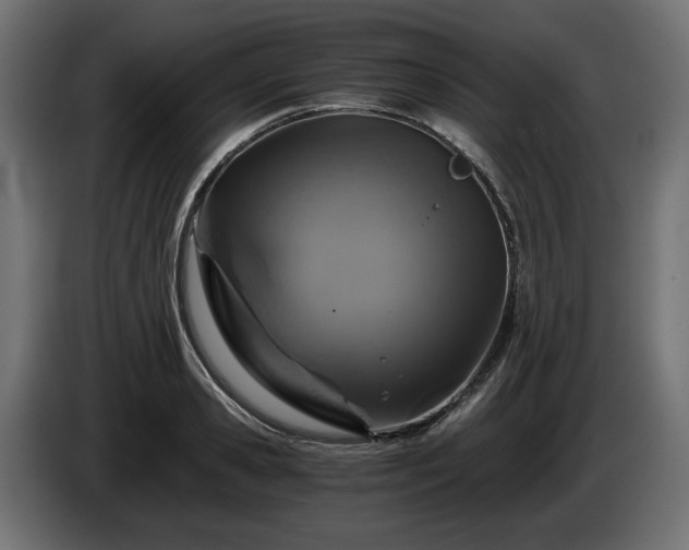 X0000084530941200703021417