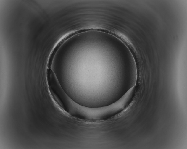 X0000084530942200703021417