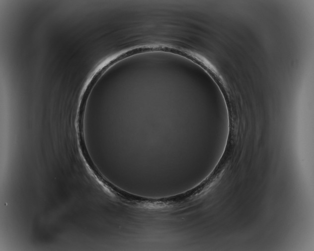 X0000084530943200703021417