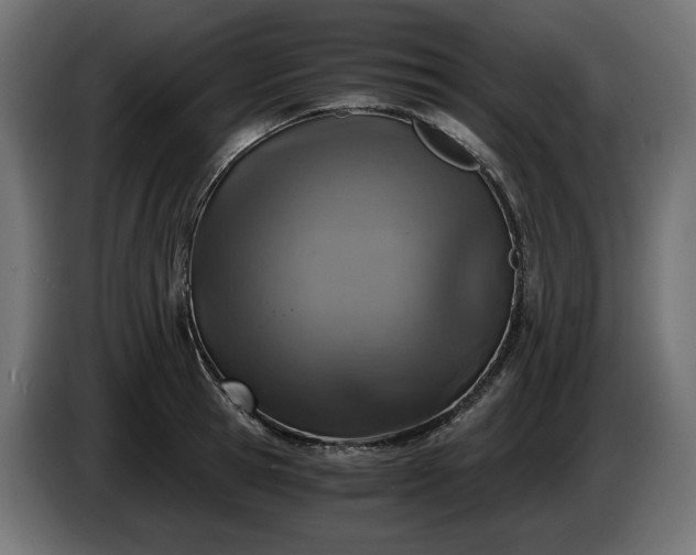 X0000084530945200703021417