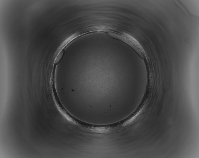 X0000084530946200703021417