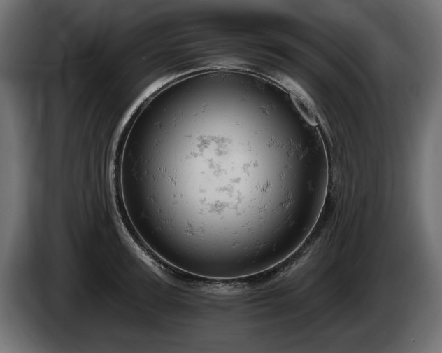 X0000084530947200703021417
