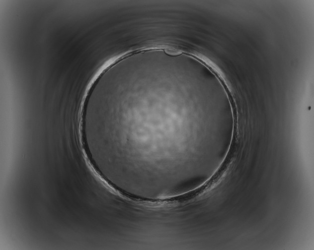 X0000084530949200703021417
