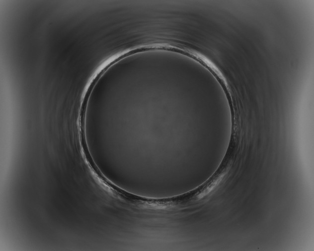 X0000084530951200703021417