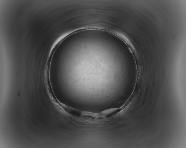 X0000084530952200703021417