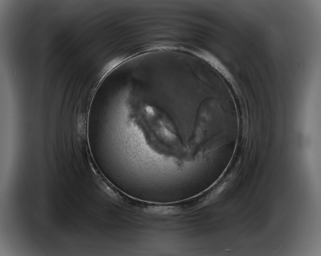 X0000084530953200703021417