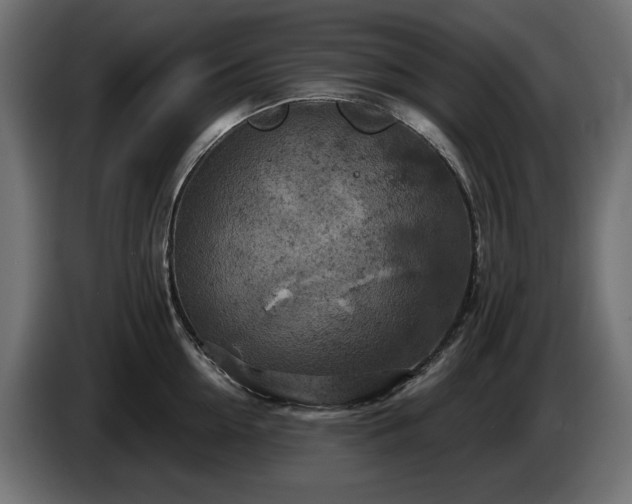 X0000084530954200703021417