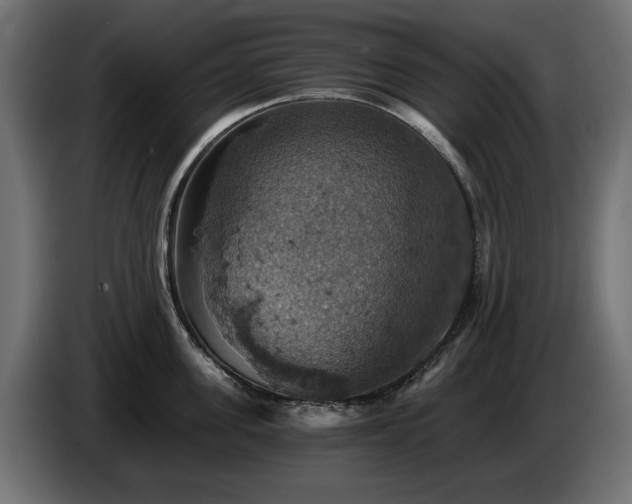 X0000084530955200703021417