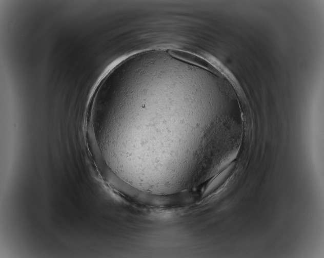 X0000084530956200703021417