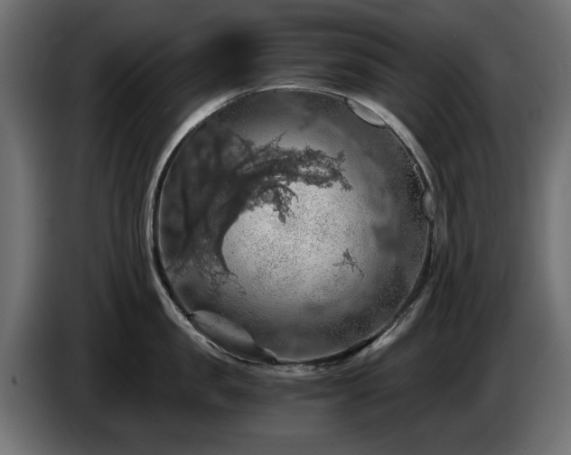 X0000084530957200703021417