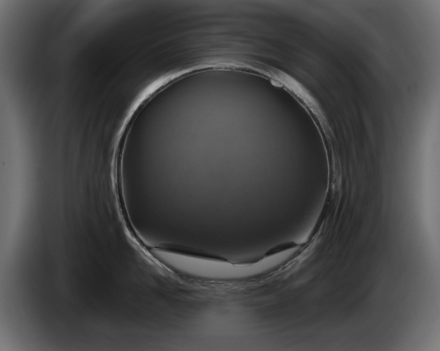 X0000084530958200703021417