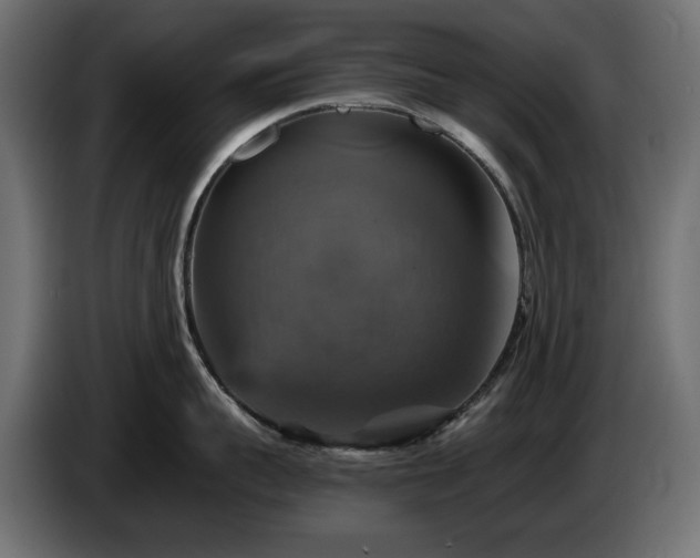 X0000084530959200703021417
