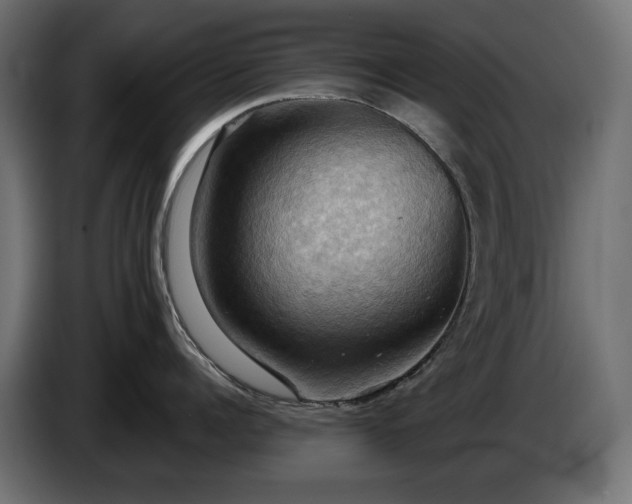 X0000084530960200703021417