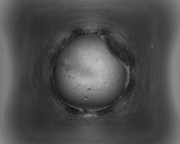 X0000084530961200703021417