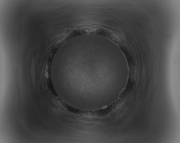 X0000084530962200703021417