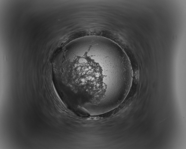 X0000084530963200703021417