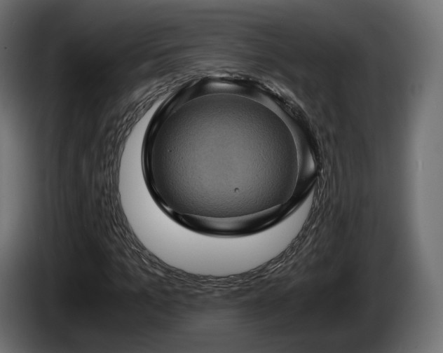 X0000084530965200703021417