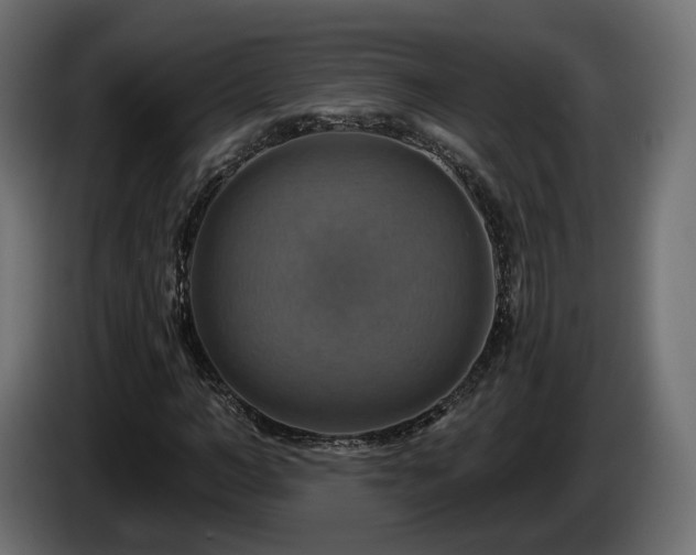 X0000084530966200703021417