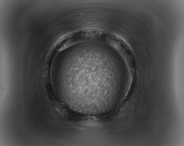 X0000084530968200703021417