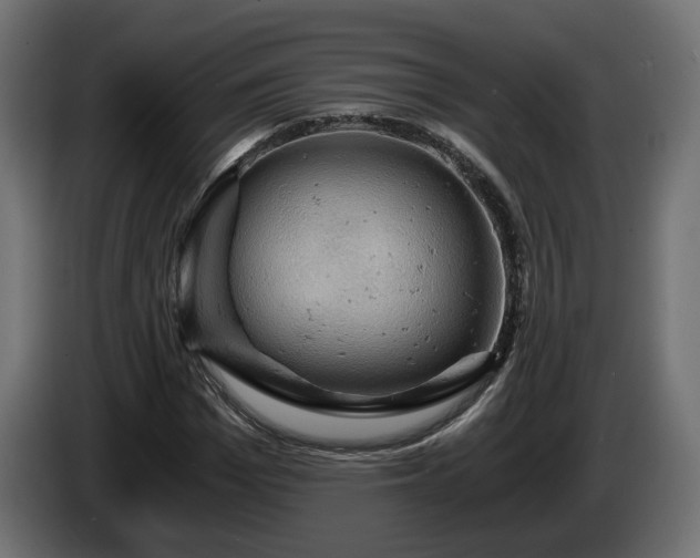 X0000084530969200703021417