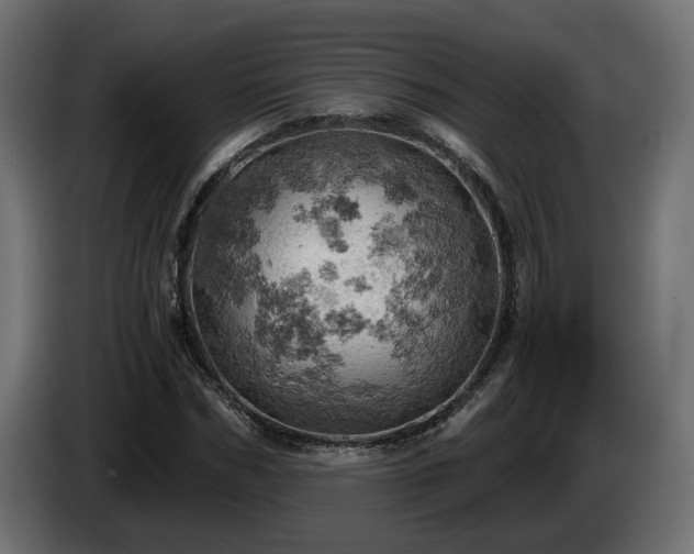 X0000084530970200703021417