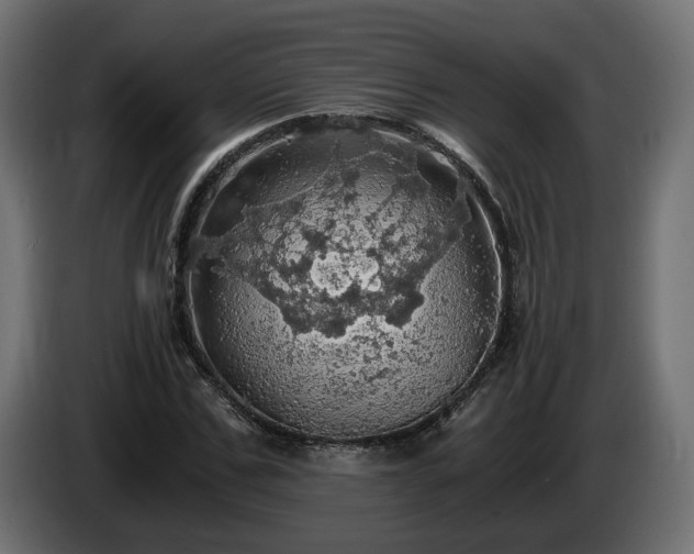 X0000084530971200703021417