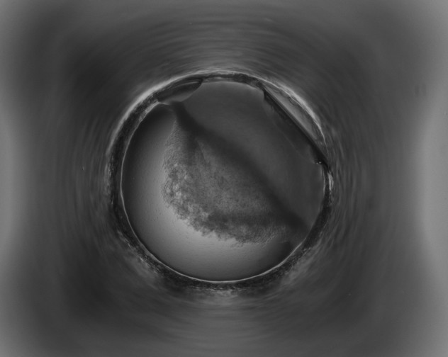 X0000084530975200703021416