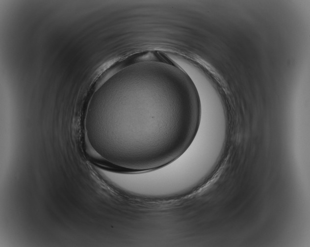 X0000084530977200703021416