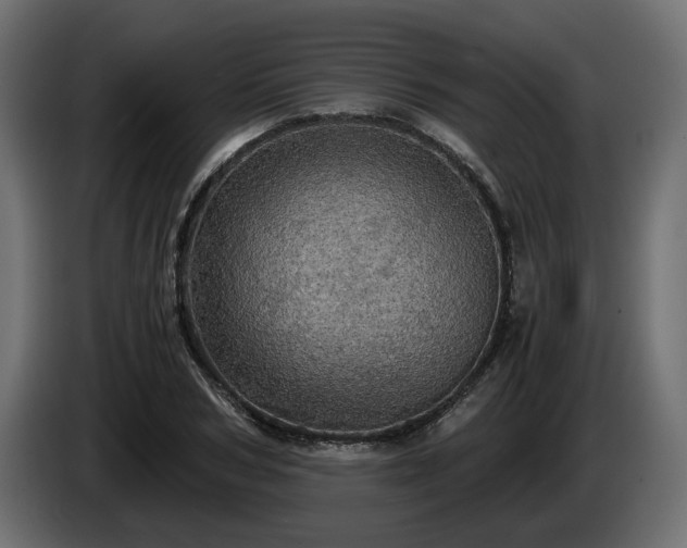 X0000084530978200703021416