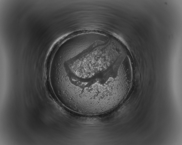 X0000084530979200703021416