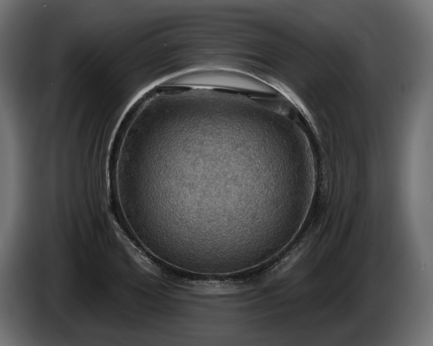X0000084530980200703021416