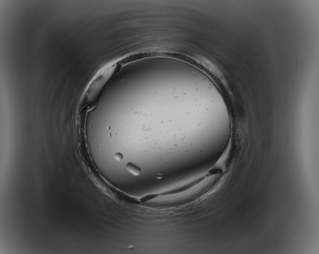 X0000084530981200703021416