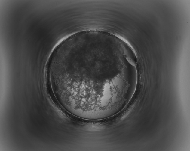 X0000084530983200703021416