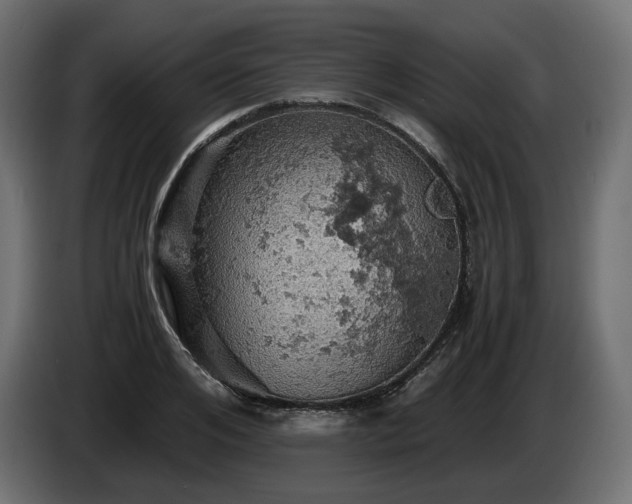 X0000084530984200703021416