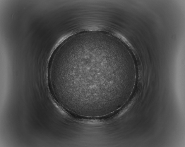 X0000084530986200703021416