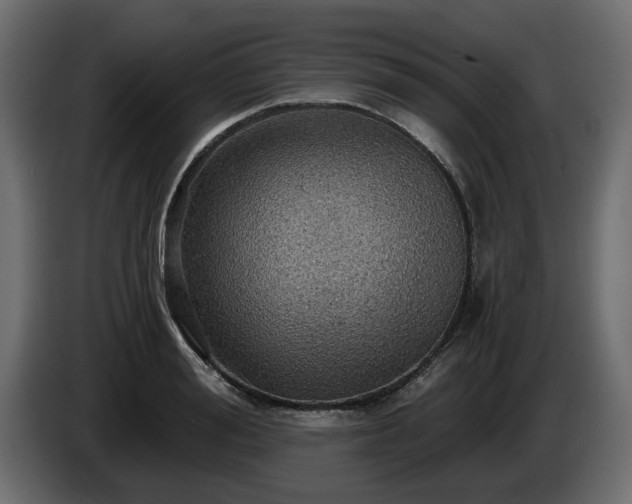 X0000084530988200703021416