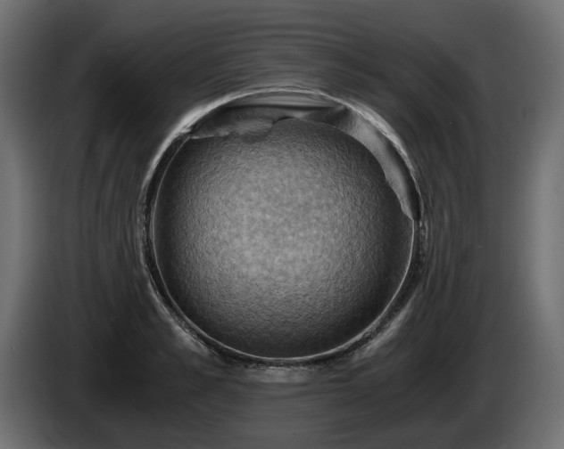 X0000084530989200703021416