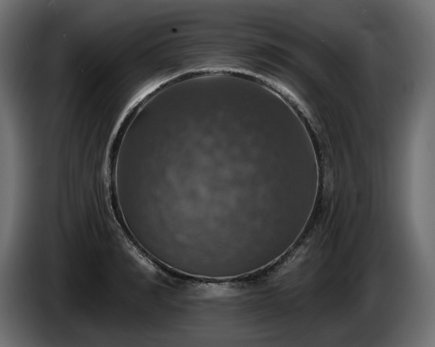 X0000084530990200703021416