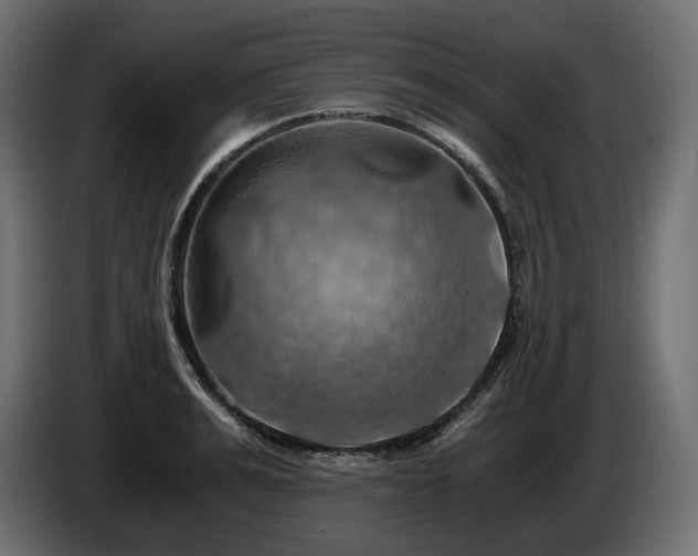 X0000084530991200703021416