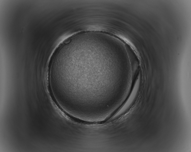 X0000084530992200703021416