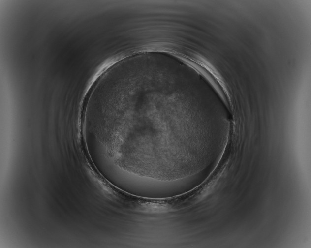 X0000084530994200703021416